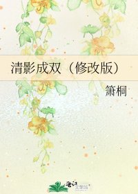 清影成双(修改版)